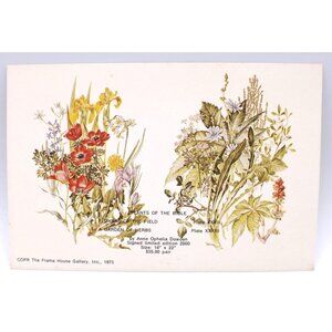 Anne Ophelia Dowden Plants Of The Bible Gallery Art Card 6x4" 1973 Collectible